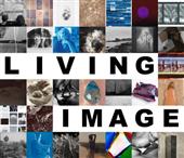The Halide Project Call for Entry