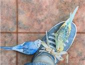 New England Watercolor Society Call for Entry