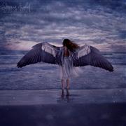 Taking Flight