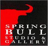 Spring Bull Gallery Call for Entry