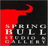 Spring Bull Gallery Call for Entry