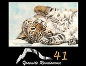 Yosemite Renaissance Call for Entry