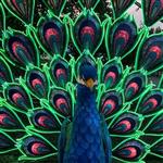 A Photographer's Place Call for Entry