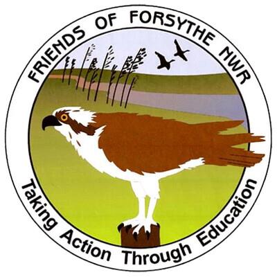 FriendsOfForsythe