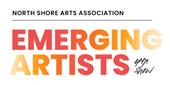 North Shore Arts Association Call for Entry