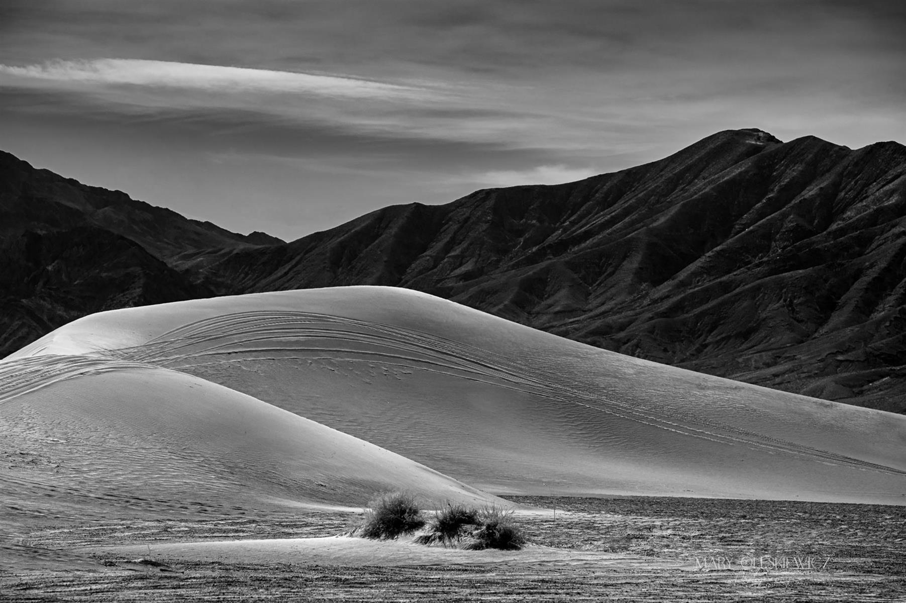 Dune Buggy Tracks, Death Valley - Honorable Mention
