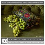 Praxis Gallery | Photographic Arts Center Call for Entry