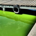 Praxis Gallery | Photographic Arts Center Call for Entry