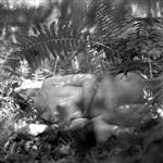 Praxis Gallery | Photographic Arts Center Call for Entry