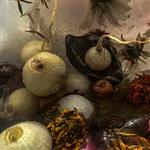 Praxis Gallery | Photographic Arts Center Call for Entry
