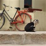 Praxis Gallery | Photographic Arts Center Call for Entry