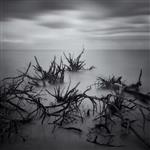 Praxis Gallery | Photographic Arts Center Call for Entry