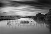 Praxis Gallery | Photographic Arts Center Call for Entry
