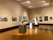 Washington County Museum of Fine Arts Call for Entry