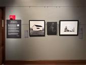 Washington County Museum of Fine Arts Call for Entry